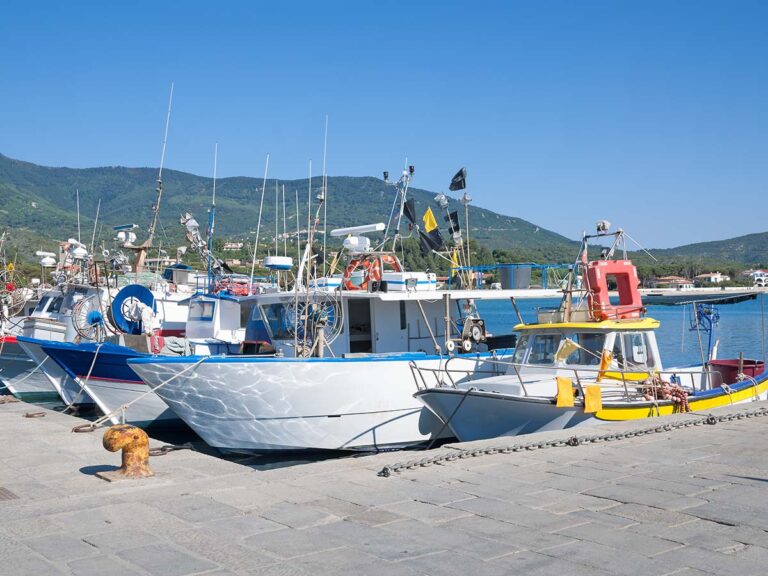 Porto di Marina di Campo